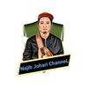 najibjohari_channel