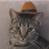 patrikelmc5