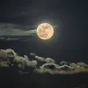 ꜱʜᴀᴢ