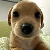 emhai_12