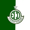 brasileiraoseried2319
