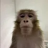 lilysbackup20110