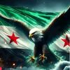 belal6519