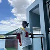 tharacasimiro