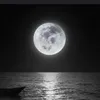 themoon_732