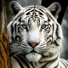 renabpo_
