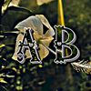 .aprxjsn