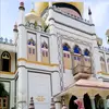 bungaselaseh