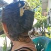 mn.baros