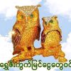 htay.aung654