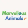 marvellous.animals