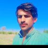 rasheedamro424