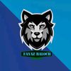 fayazjansaqib007