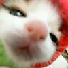 strawberryzz_z