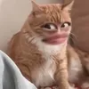 nd181001010004