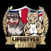lifestylebullies_