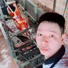 thanh.n674