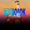gribo4ok2