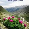saeid.mortazavi.v