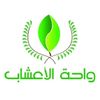 علاج عرق النسا