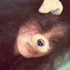 _sakuraakakecuongmusic