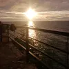 domilinlaborada
