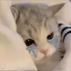 vyynee92