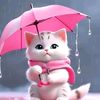 user5690861420296