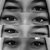 _lyy276
