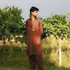 aliahmadjarola4715l