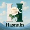 muhammad.hasnain711