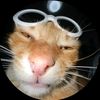 mr.pukls
