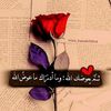 sabah.eldesouky24