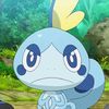 sobble02