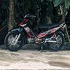 suprahedon_2013