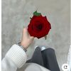 user6198134984821