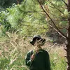 .kuien