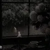 yeuemm285