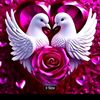 muslim.kham53