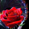 user9836123478800