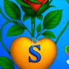 sayid.axmed..1199