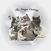 Grays Cattery