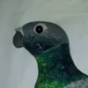 ploptok4