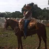 genivaldo.nunes.sa