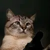 xxx_4ffggf