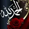 user28792023168002