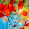 travel.nature13