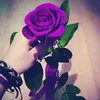 mhndmm7