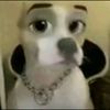 whatdocaseoh