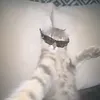 _admzx